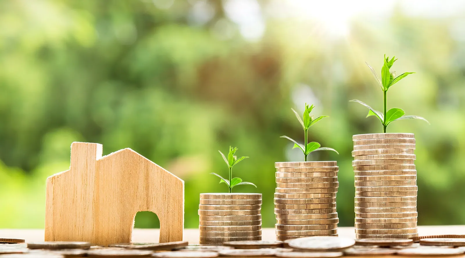 Informe pericial sobre hipotecas subprime